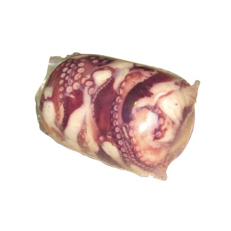 FILONE DI POLPO PER CARPACCIO KG.1,5 CA.